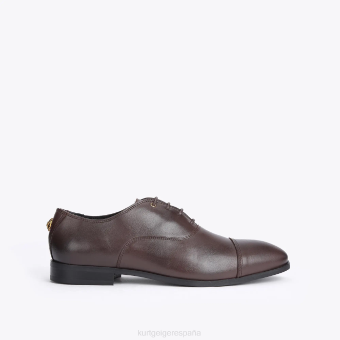 Kurt Geiger hombres londres harris oxford 2LPR647 | calzados marrón
